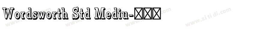 Wordsworth Std Mediu字体转换